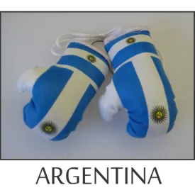 Argentina Mini Boxing Glove