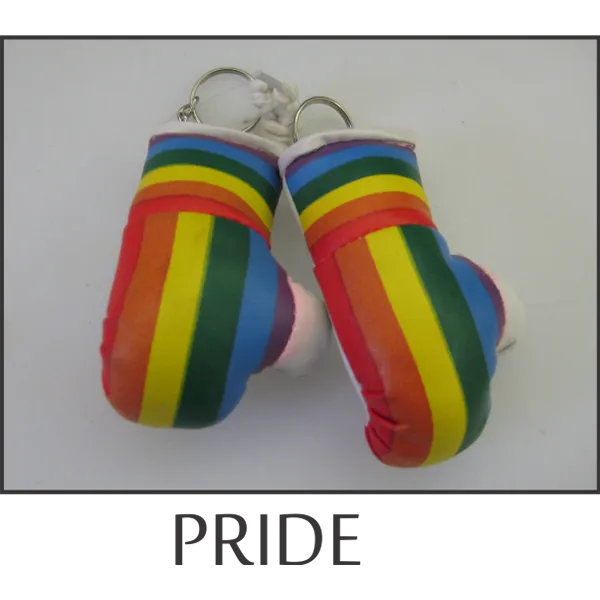 Pride Mini Boxing Gloves